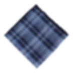 Azul cuadro escocés