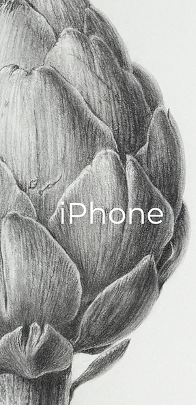 iPhone .jpg