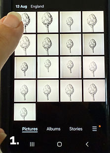 Image gallery_edited.jpg