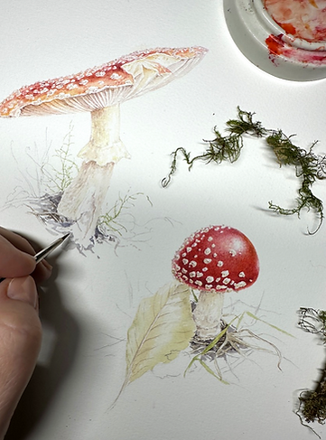 Tutorial Amanita_edited_edited.png