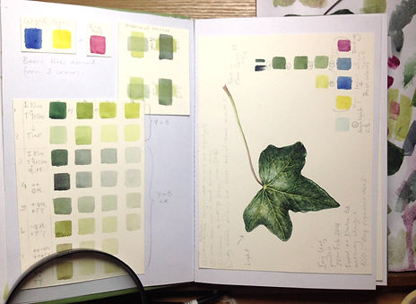 Sketchbook Study of green mixes, Ivy leaf