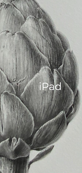 iPad_edited_edited_edited.png