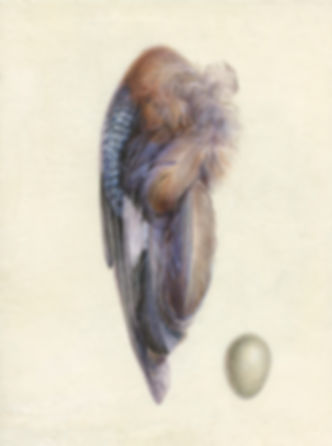 'Jay' signed print