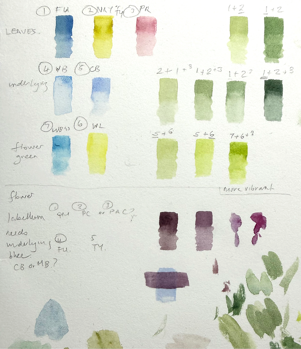 You can see the primary colours used, which are numbered on the left, the various mix from these colours is on the right hand side of the page, the three colours make a full range of greens for the leaves. the underlying colour is also shown and the flower colours.