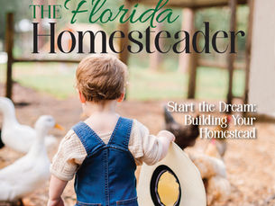The cover of the Florida Homesteader