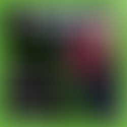 CORSO DI KICK BOXING