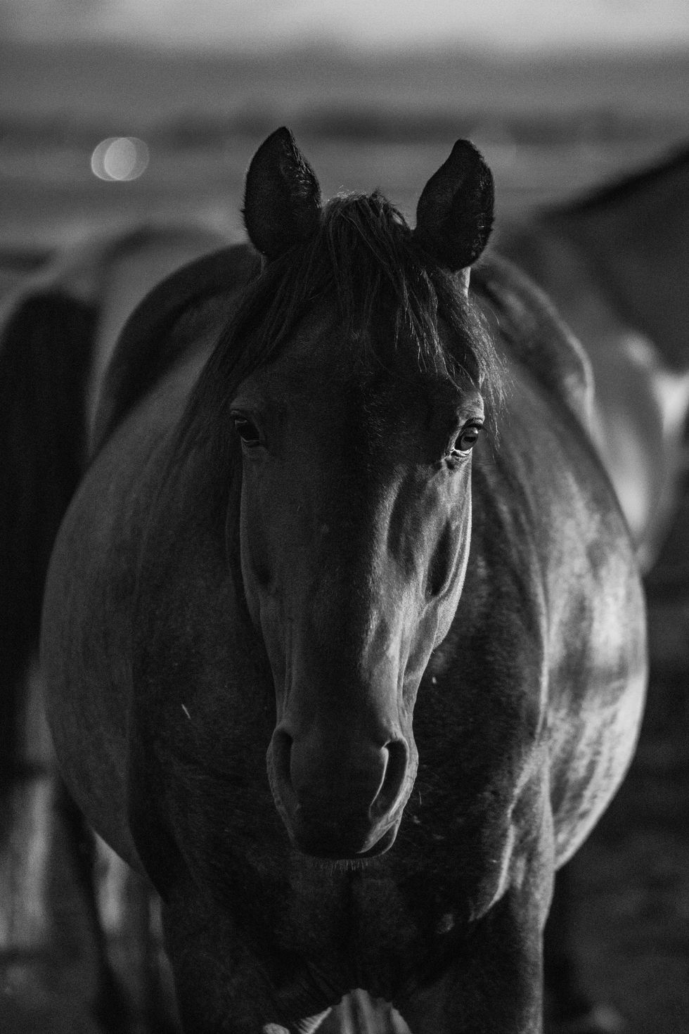 3KRanch2B&W
