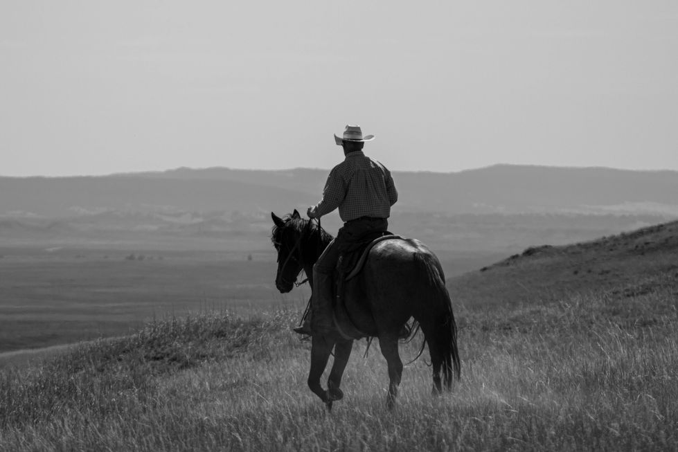 Into the sagebrush seas 