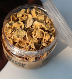 Jelajah Rasa, Aroma, dan Manfaat Rempah: Temu Mangga