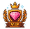 VIP.png