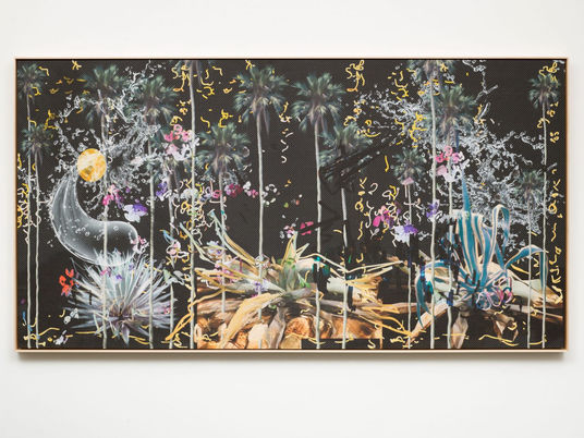 Petra Cortright, la Artista Pionera del Arte Post-Internet