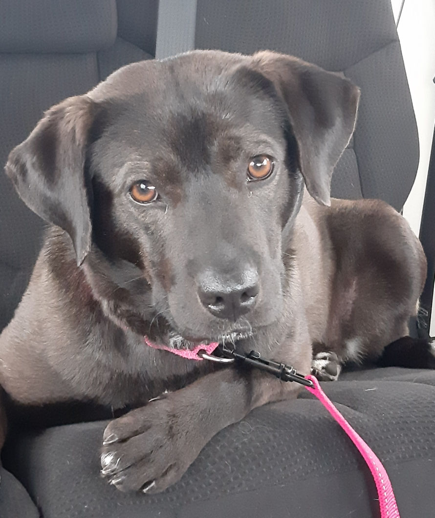 Rosie