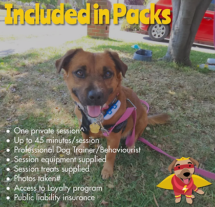 Casual session prices - 2 - Made with PosterMyWall (1).png