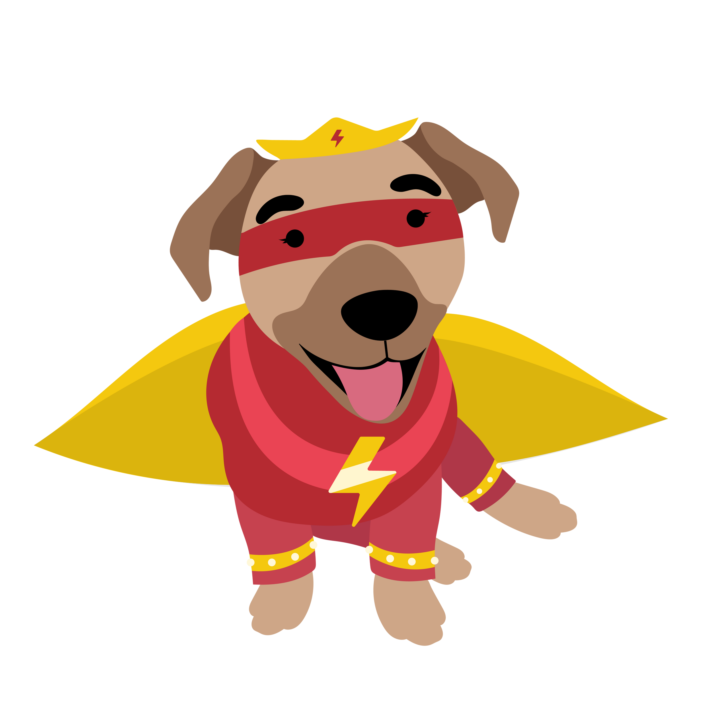 Book Your Free Dog Assessment | Victoria's Trusted Dog Training Experts