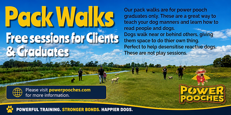 Pack walk banner.png