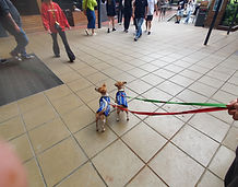 20231210_152922.jpg