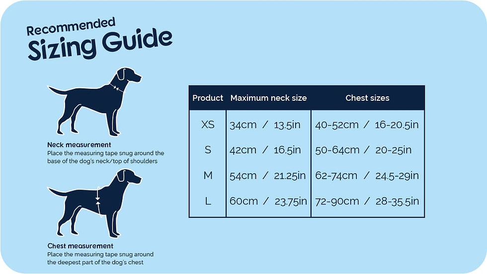 Thumbnail: CarSafe Dog Travel Harness