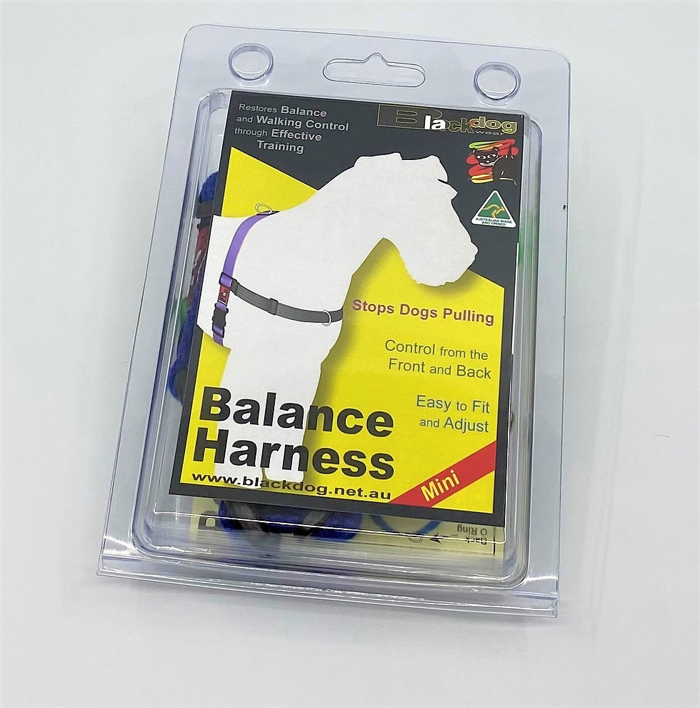 Thumbnail: Balance Harness