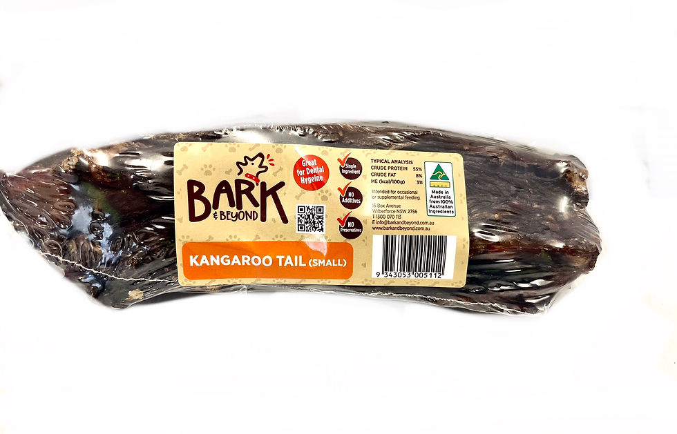 Kangaroo Tail Bone