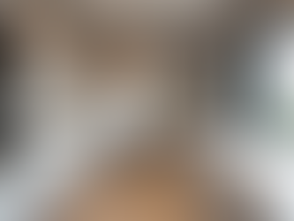 Exploring the Allure of Modern Kitchens in Chicagoland: Trends Materials and Innovations