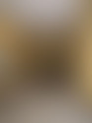 Hwy 6 Pawn Shop Remodel