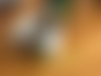 ご来店ありがとうございます