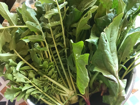 竹村さんのお野菜