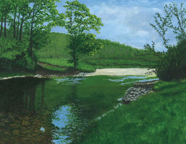 creek in the meadow.jpg
