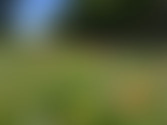 Le jardin des signes en été 😊