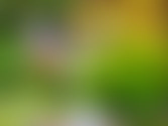 Vénus rétrograde et plus si affinités : la journée du 23 juillet 2023