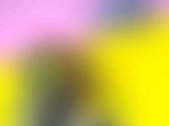 Hiro Da Black Panda Episode 9 (e13)