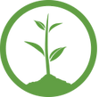 OneTreePlanted