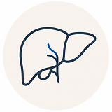 ig_037b484db3374e8c0169faea3395948191b9c27ed880e888f6_0_w_trans.png