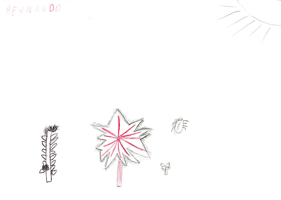 Ricino_textura_pintura