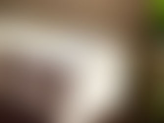 Karamazov Kardeşler