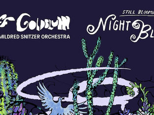 Jeff Goldblum & The Mildred Snitzer Orchestra
