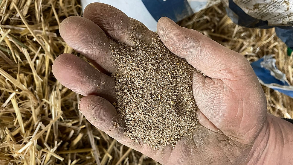 Animal feed supplements.jpg