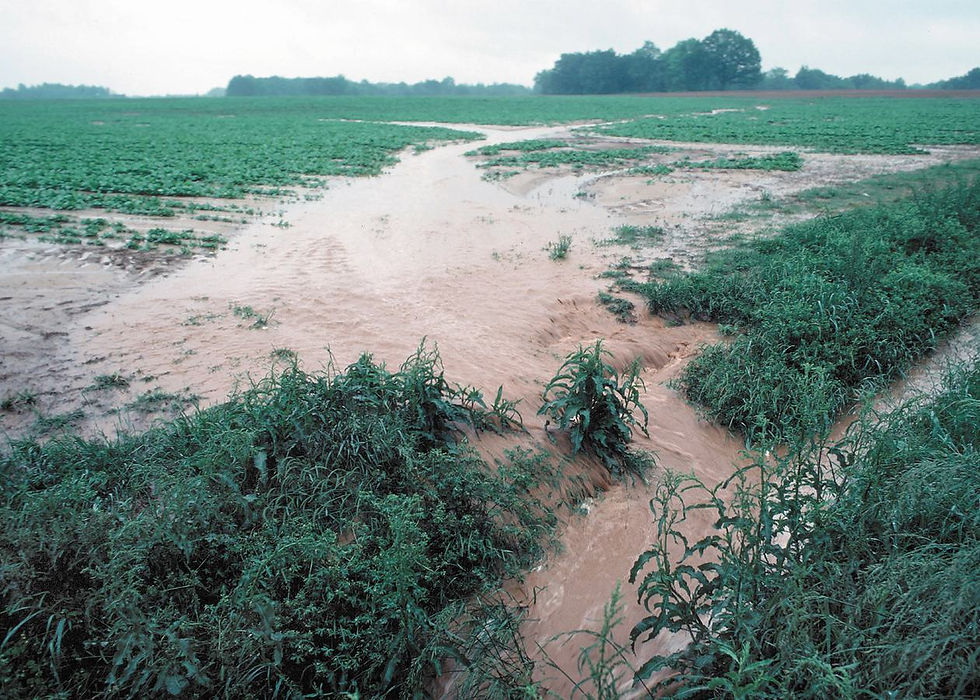 RunoffTennessee_USDA-NRCS-Tim-McCabe.jpg