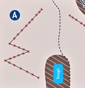 w-pattern-body-image-how-do-i-soil-sample.jpg