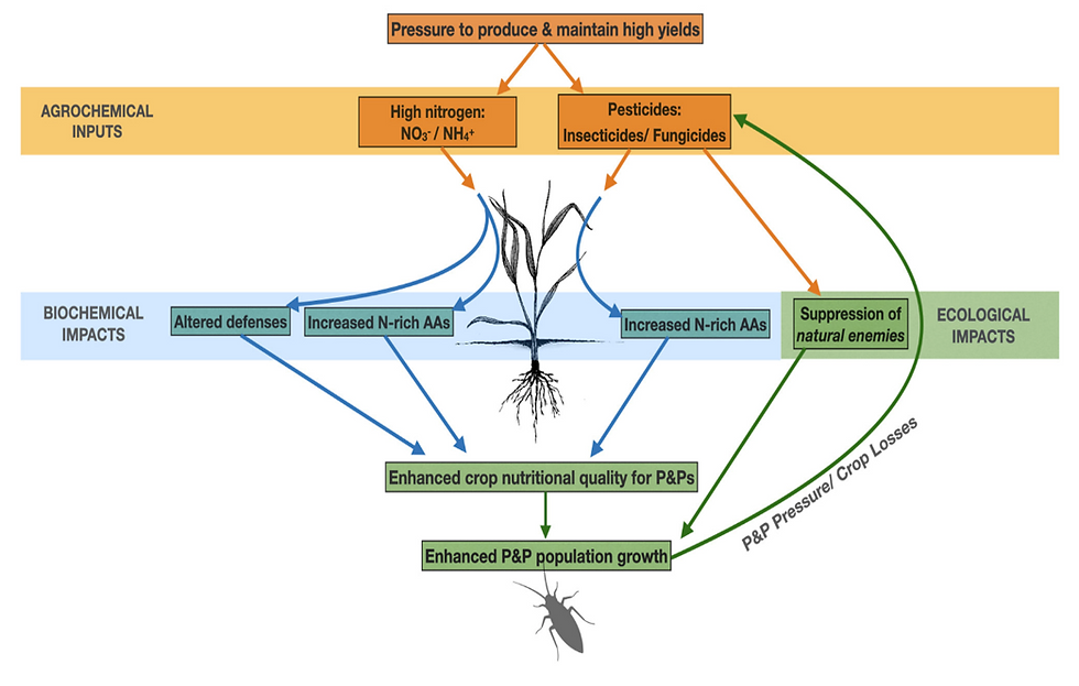 Martinez et al 2021 - Increasing pest and pathogens due to fertilizers and pesticides.png