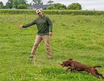 hand-signals-for-dogs-1200x800 directional cues.webp