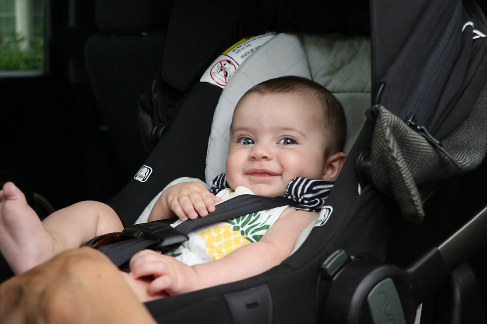 Thumbnail: The Lily Pad - Bundle (both sizes)