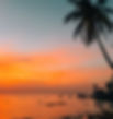 IMG_0229.jpeg