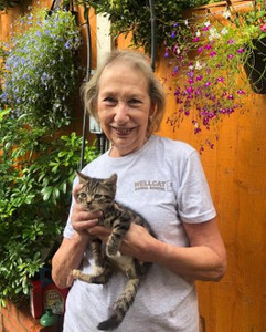 Glynis volunteer at Birmingham cat rescu