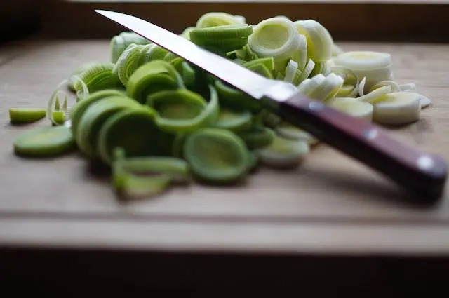 Can dogs eat leeks?