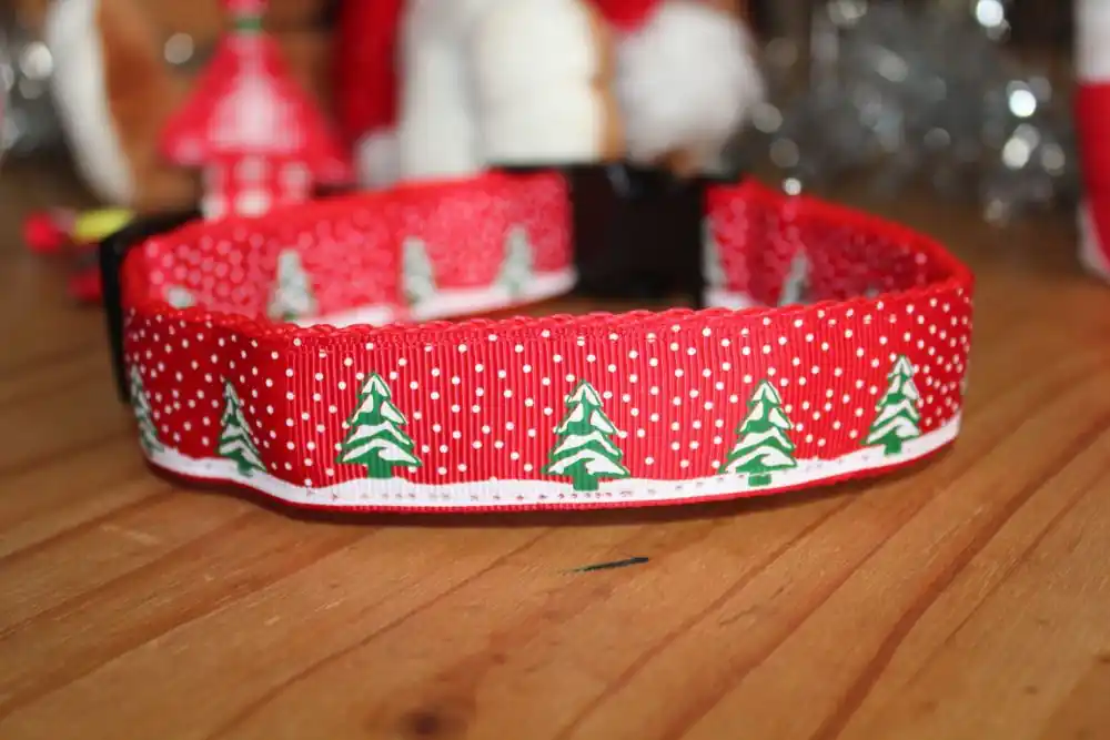 Maddy Paws Christmas Dog Collar  