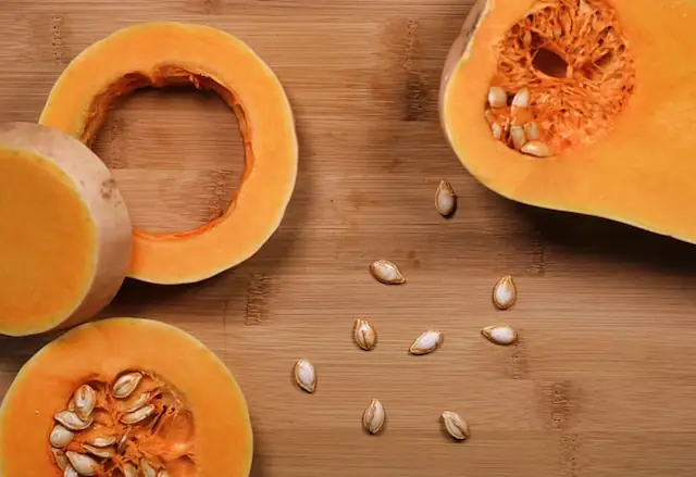Pumpkin powder for your dog conclusion