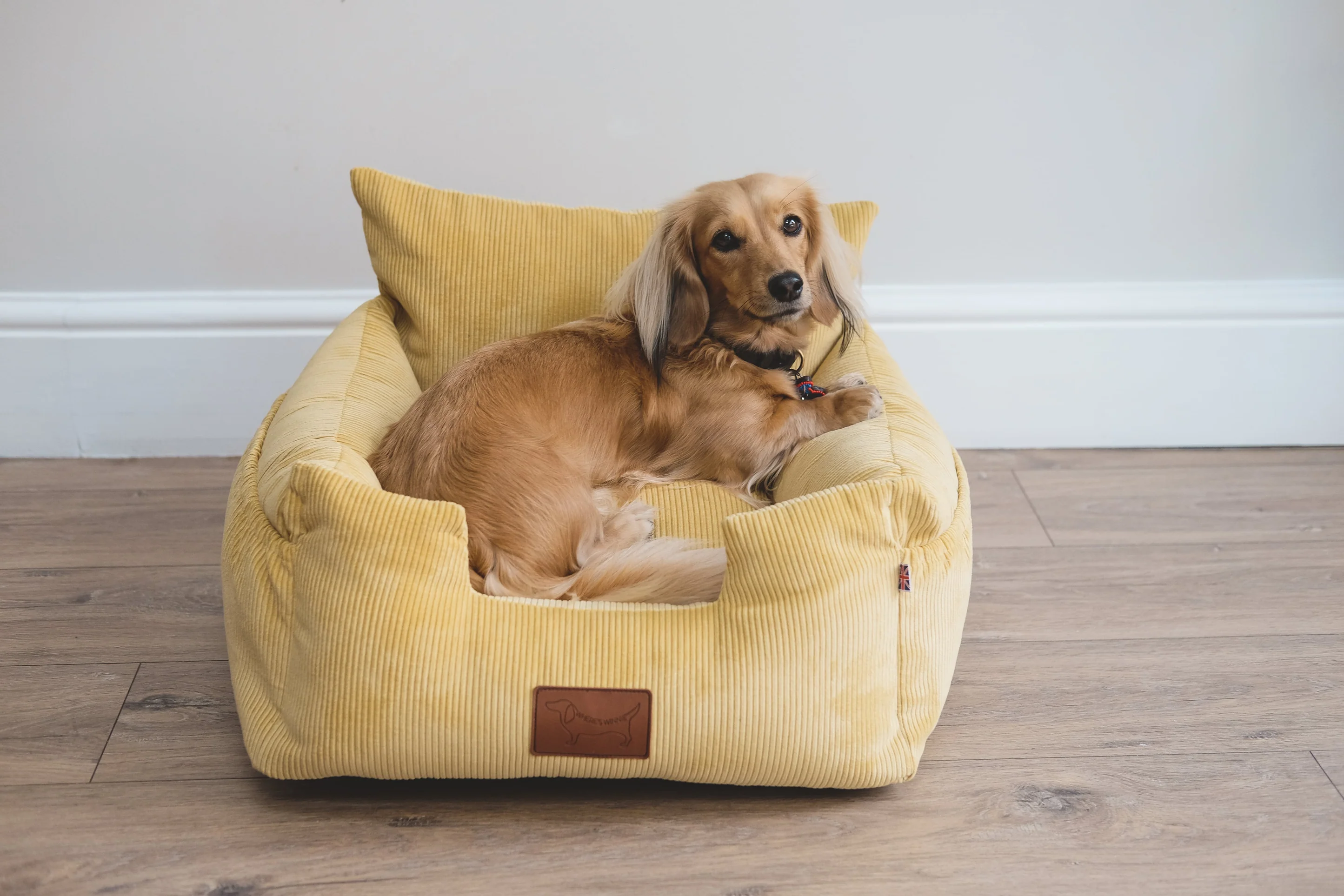 Where's Winnie dog car seat review