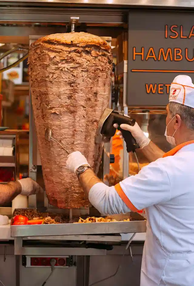 Can I feed my dog doner meat