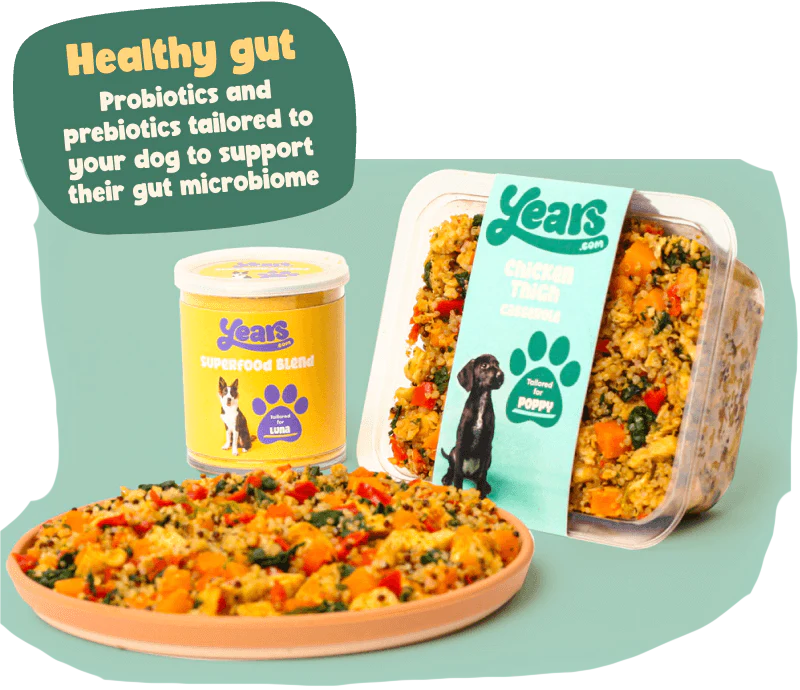 The Best Dog Food UK Our 2024 Update